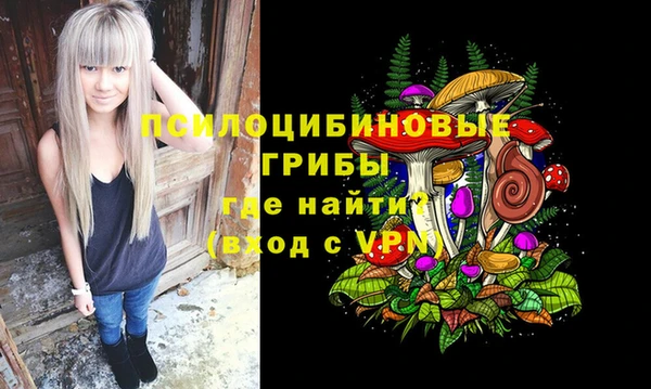 крисы Белокуриха