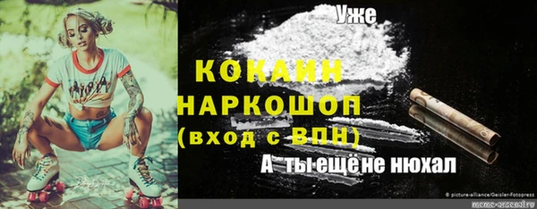 крисы Белокуриха