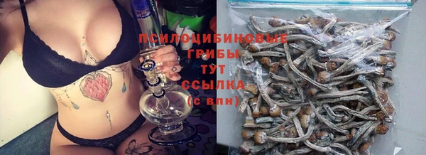 стафф Беломорск
